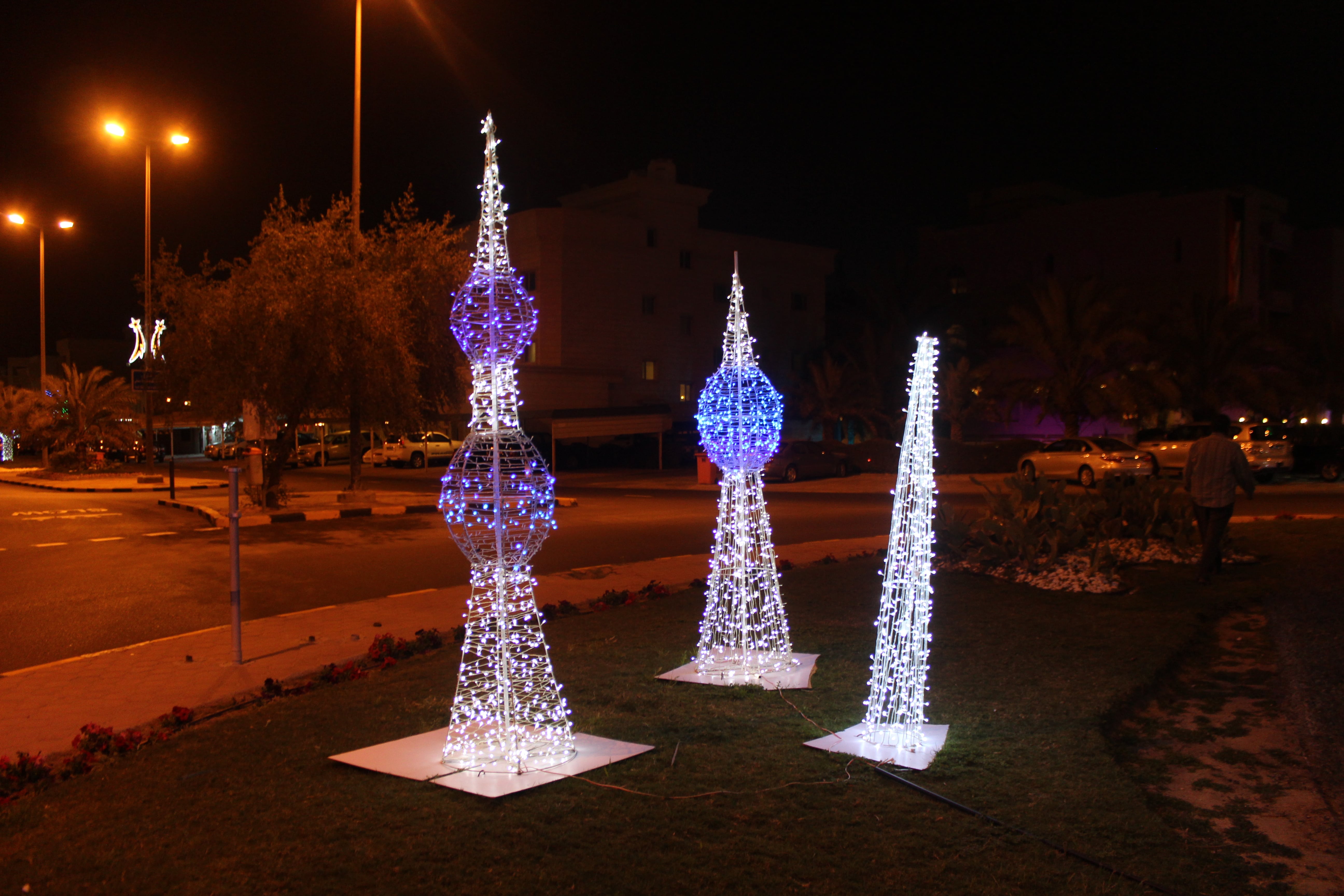 احتفالات عيد الوطني 2017