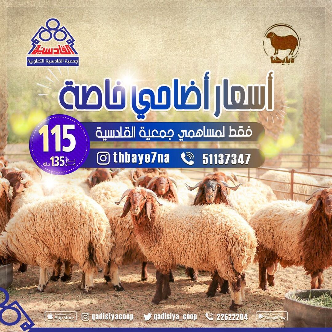 اسعار اضاحي خاصة فقط لمساهمي جمعية القادسية